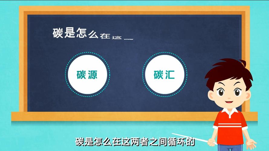 碳源的作用(什么是復合碳源)