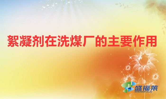 絮凝劑在洗煤廠的主要作用(洗煤專(zhuān)用絮凝劑)