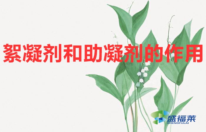 絮凝劑和助凝劑的作用(絮凝劑和助凝劑的區別)