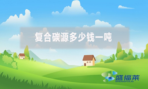 復(fù)合碳源多少錢一噸？