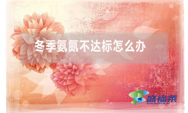 冬季氨氮不達標怎么辦?