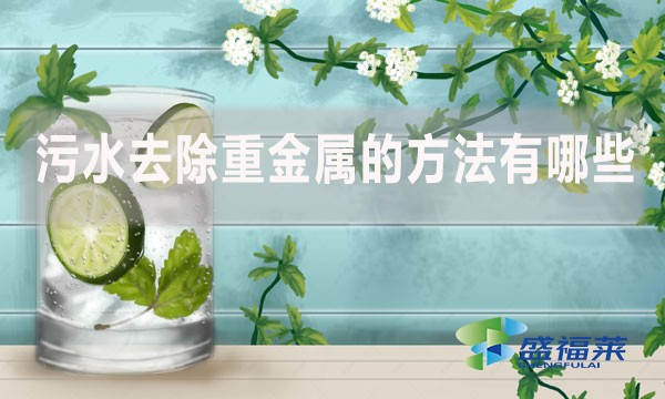 污水去除重金屬的方法有哪些?
