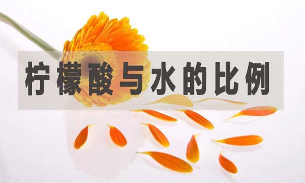 檸檬酸與水的比例是多少？如何調配？